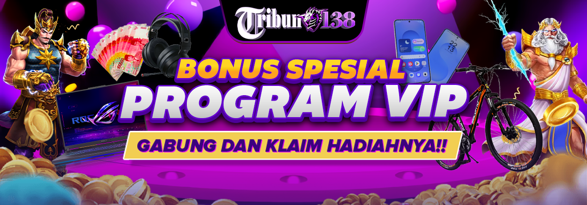 Program VIP